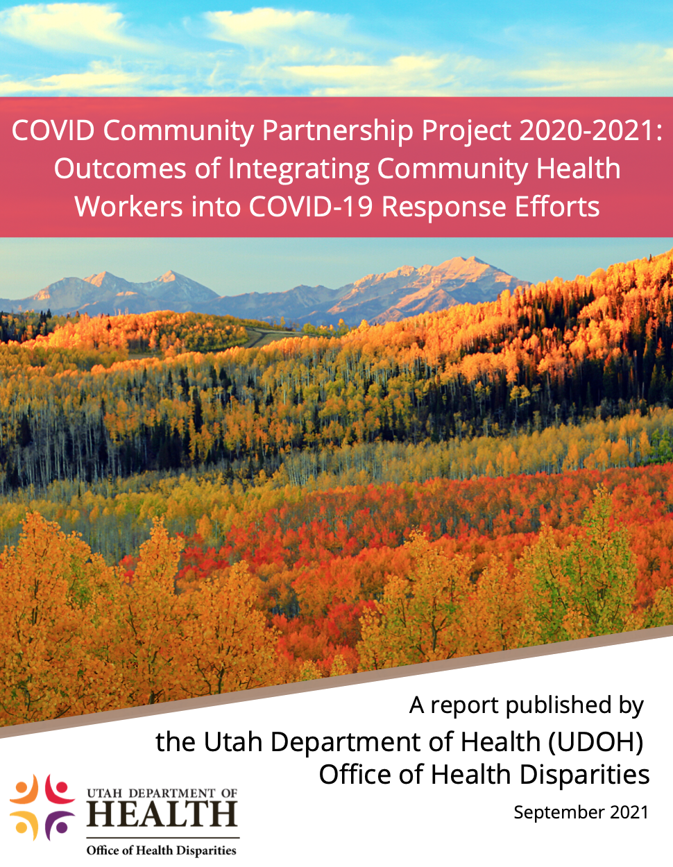 COVID Community Partnership Project - Outcomes