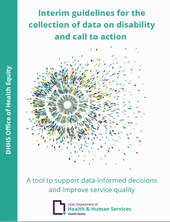 DHHS Interim guidelines for the collection of data on disability and call to action.