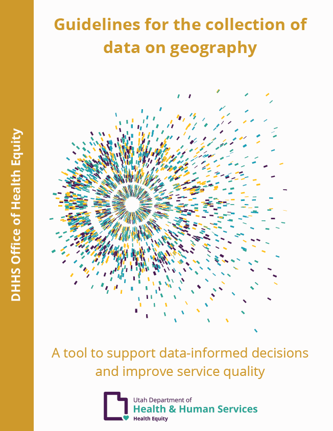 DHHS Guidelines for the collection of data on geography PDF.