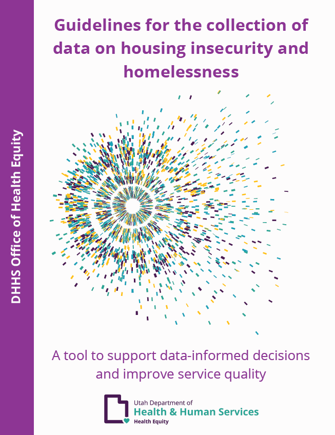 DHHS Guidelines for the collection of data on housing insecurity and homelessness.